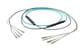 Pasternack PE3FCA216-10M