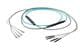 Pasternack PE3FCA217-10M