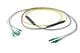 Pasternack PE3FCA310-30M